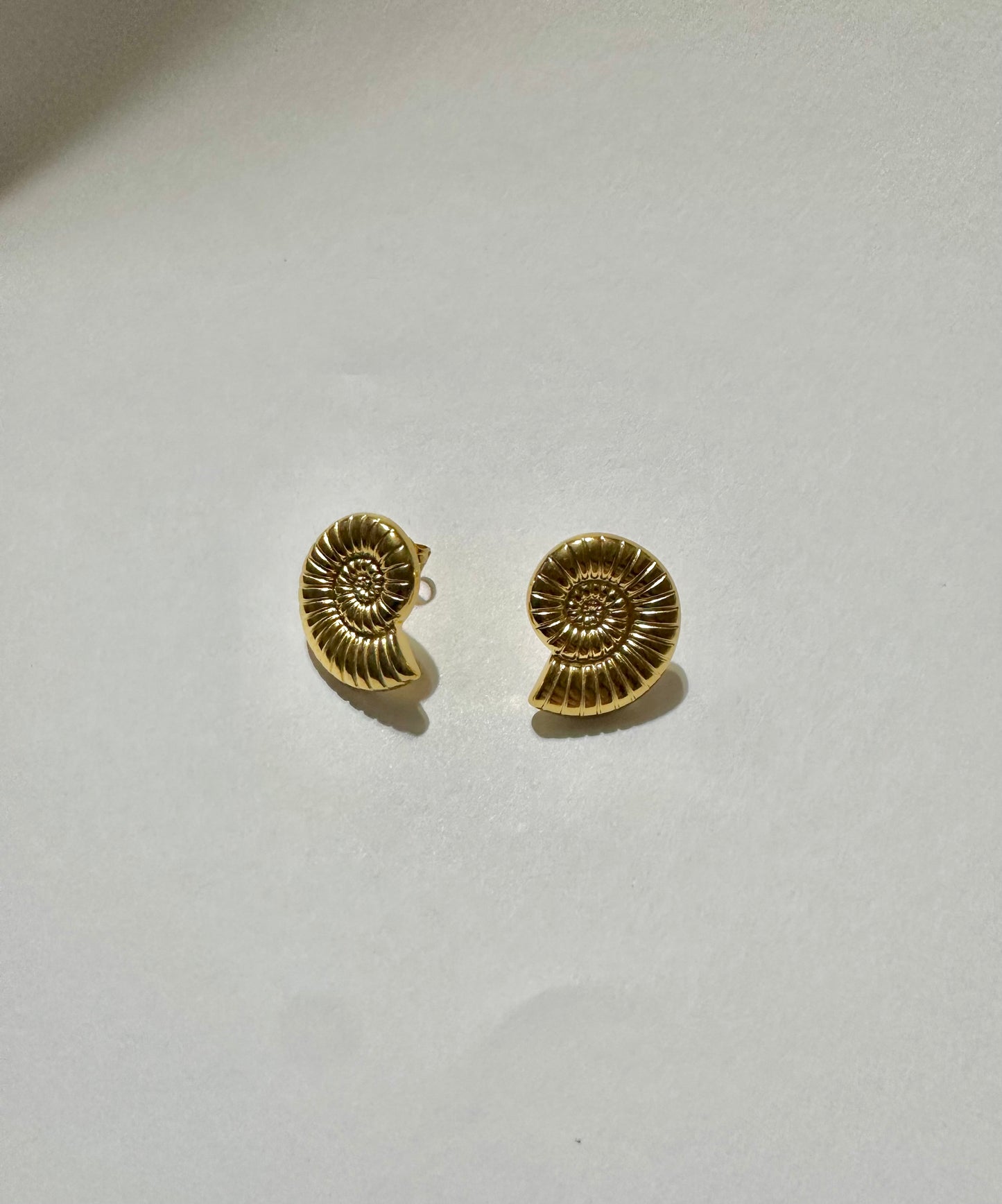 Nautilus Stud Earring