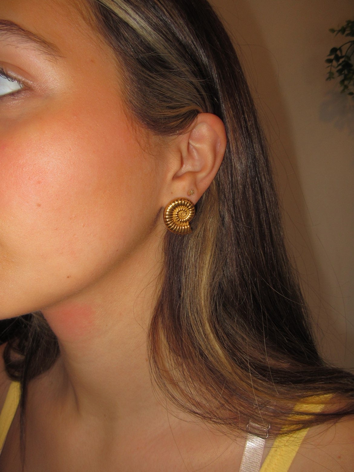 Nautilus Stud Earring
